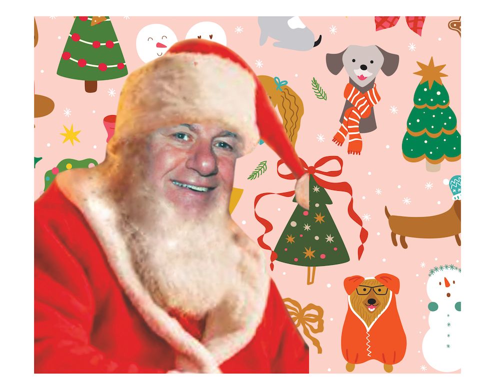 A Dog News Christmas Gift